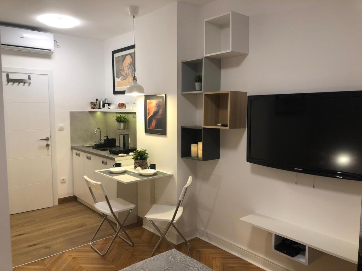 Vracar Apartment ベオグラード エクステリア 写真